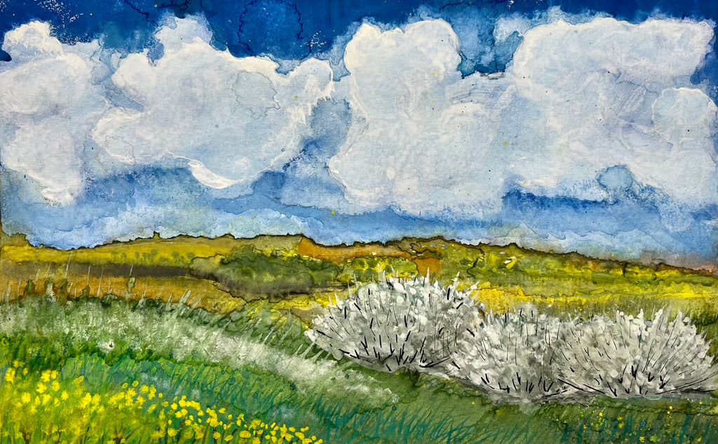 Watercolor 5x7 Variety Note Cards - By Prairie Girl