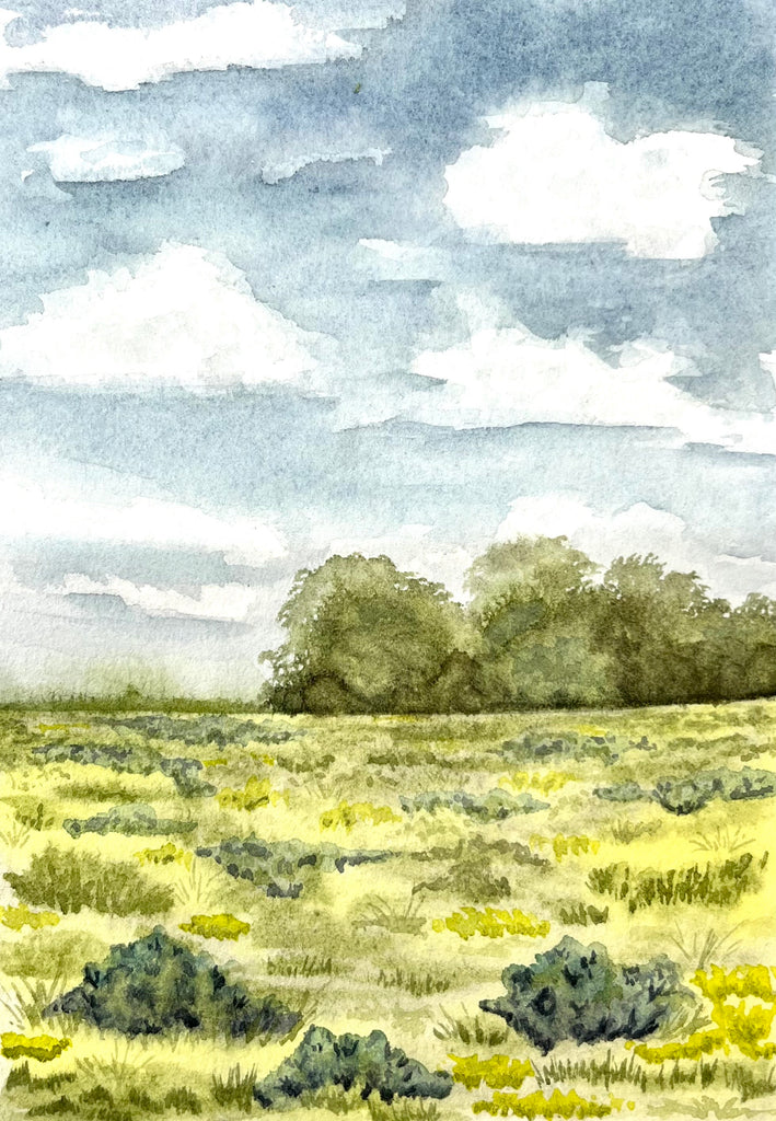 Watercolor 5x7 Variety Note Cards - By Prairie Girl