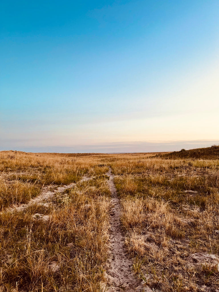 Trails of the Prairie Keepers - 5x7 Note Cards - By Prairie Girl